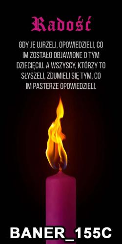 pasy 155C