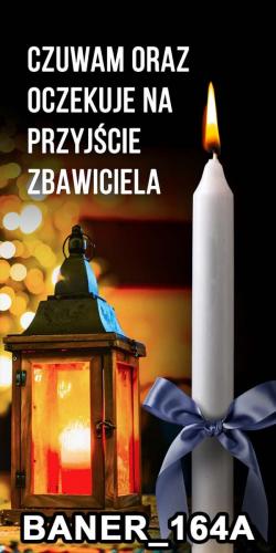 pasy 164A