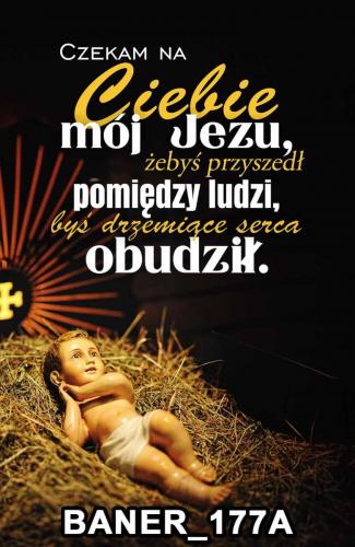 pasy 177A