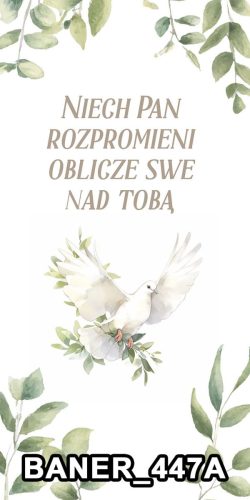 baner 447a