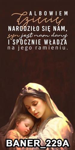 pasy 229A