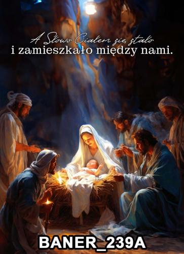 sztandar 239A