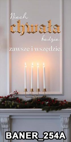 pasy 254A