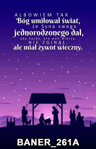 pasy 261A