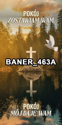baner 463a-100-x-200