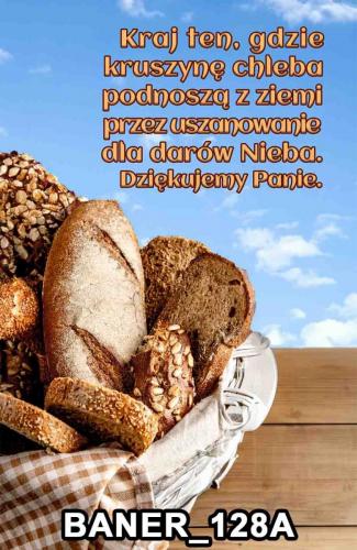 pasy 128A