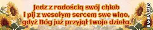 pasy 133A