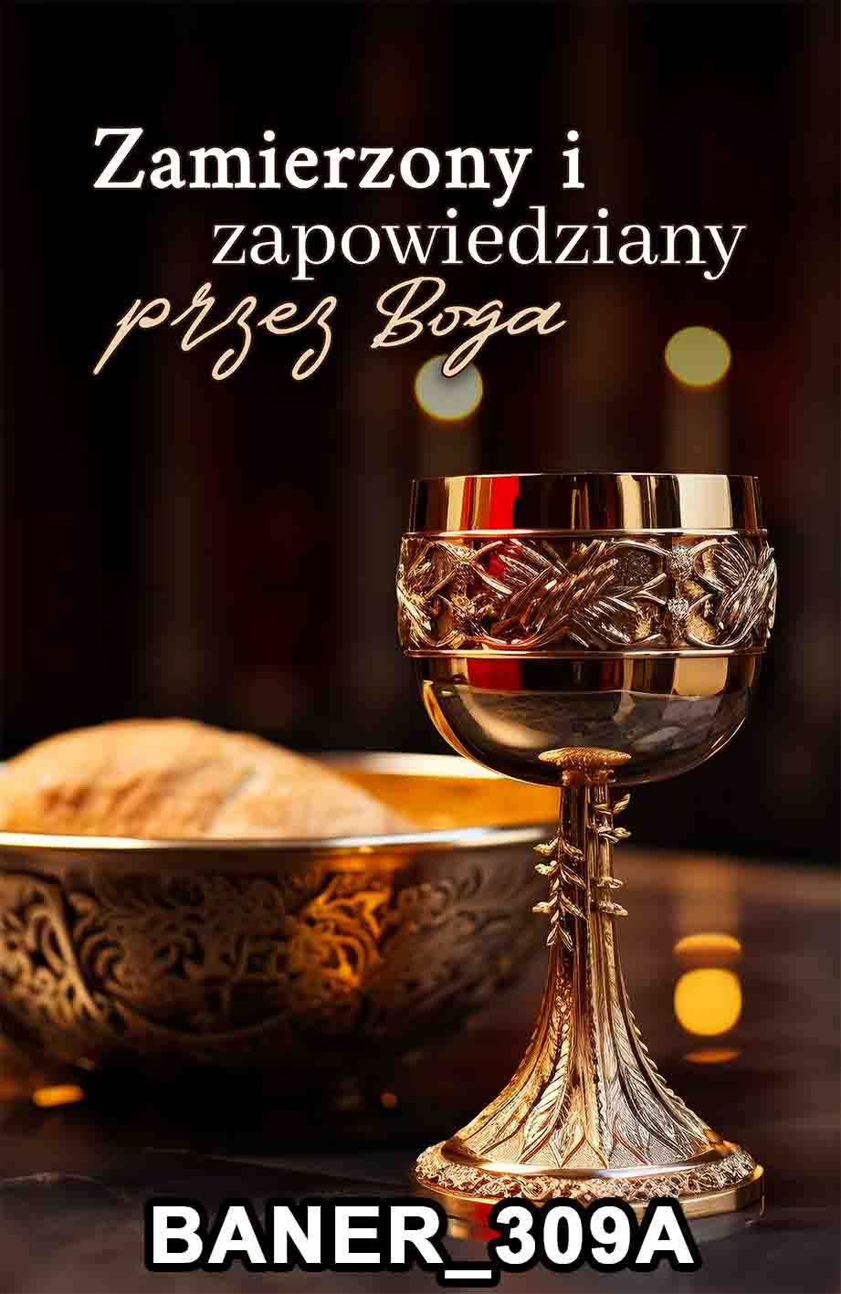 pasy 309A