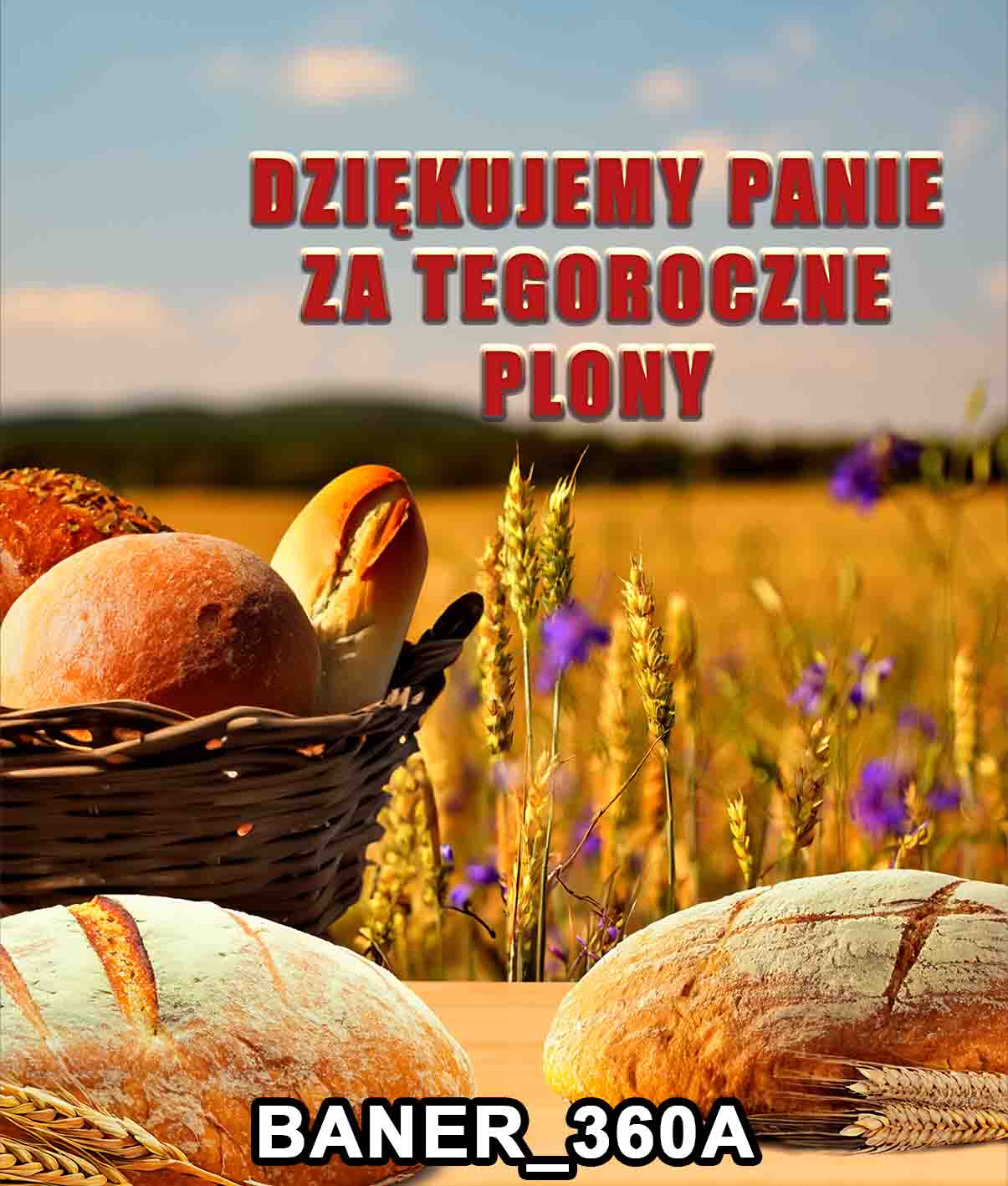 baner 360A