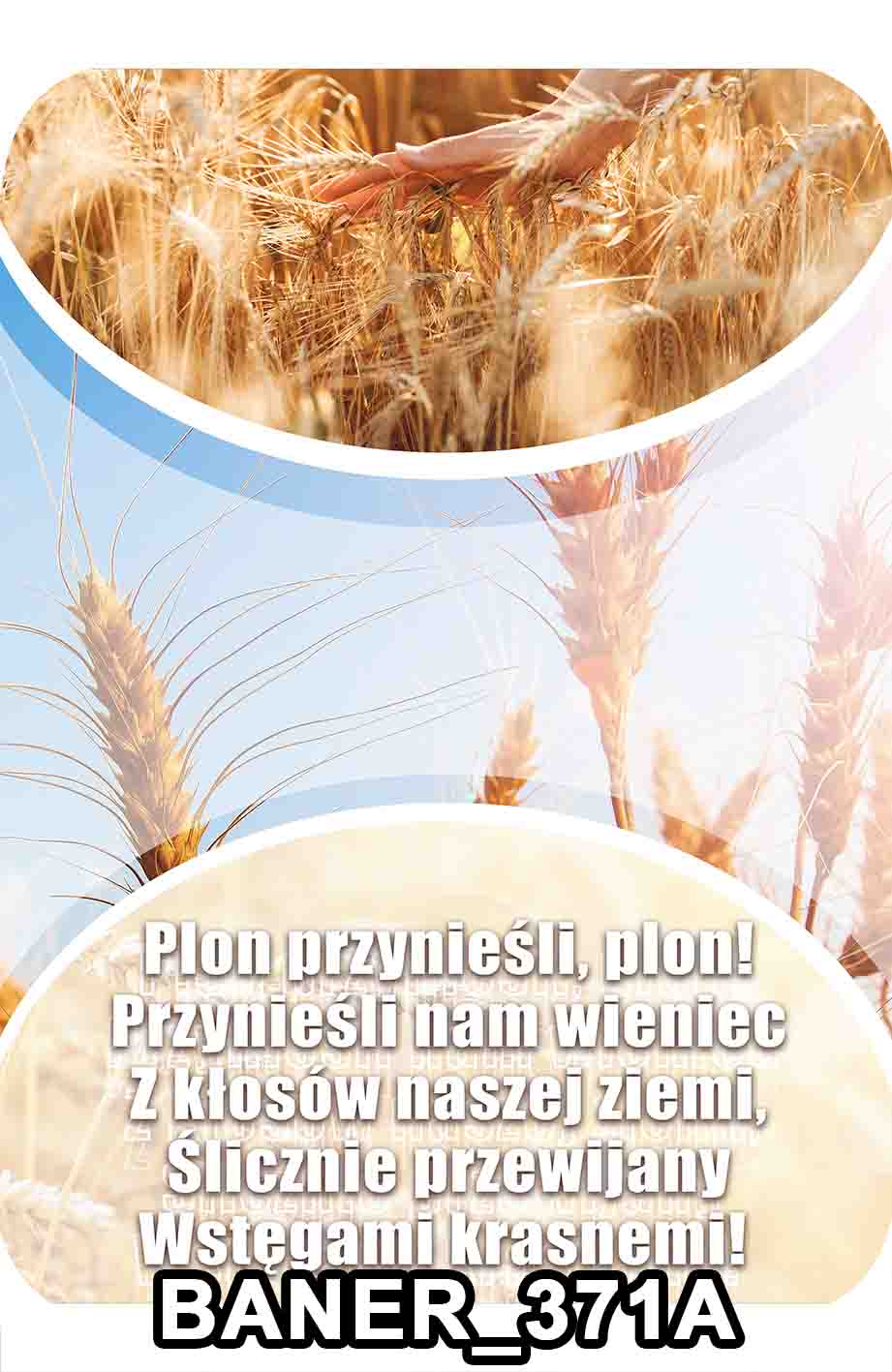 pasy 371A