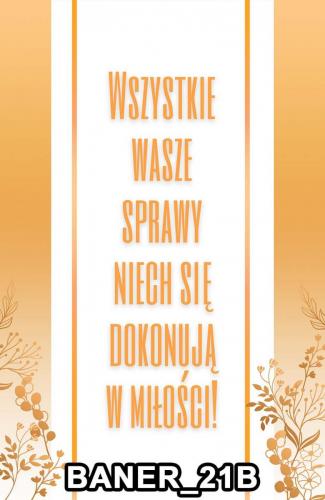 pasy 21B