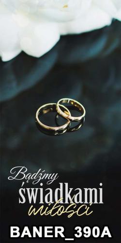 baner 390A