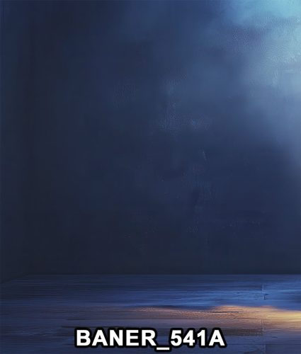 baner 541a