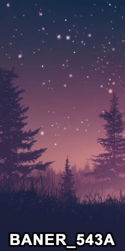 baner 543a