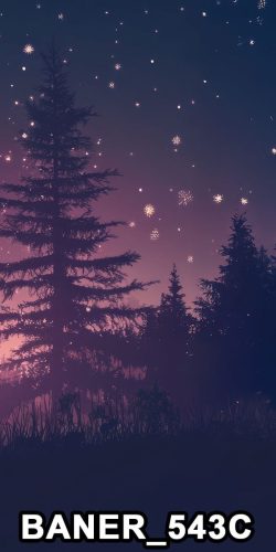 baner 543c