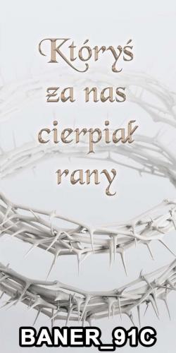 pasy 91C