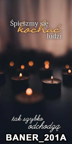 baner 201A